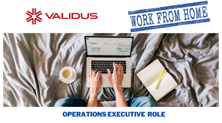 Validus Work From Home Jobs